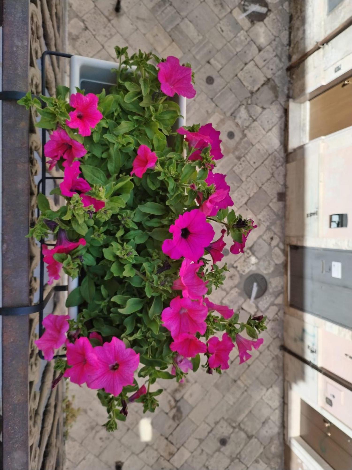 Happy House Salento Apartment Brindisi Dış mekan fotoğraf